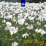 »Kamp Holland« cover