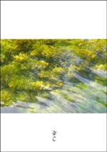 »Amish Glamour (Music For The Sixth Sense)« cover