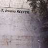 »Reefer« cover